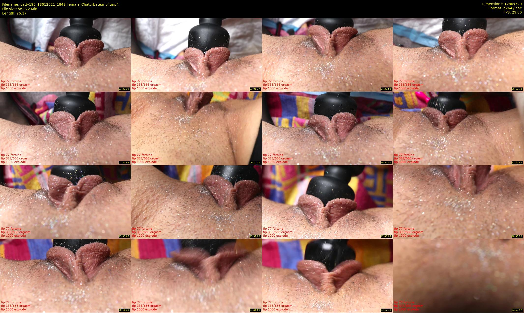 catty190 — 27 minute Chaturbate female cam show recording, 720p, Jan 18, 2021