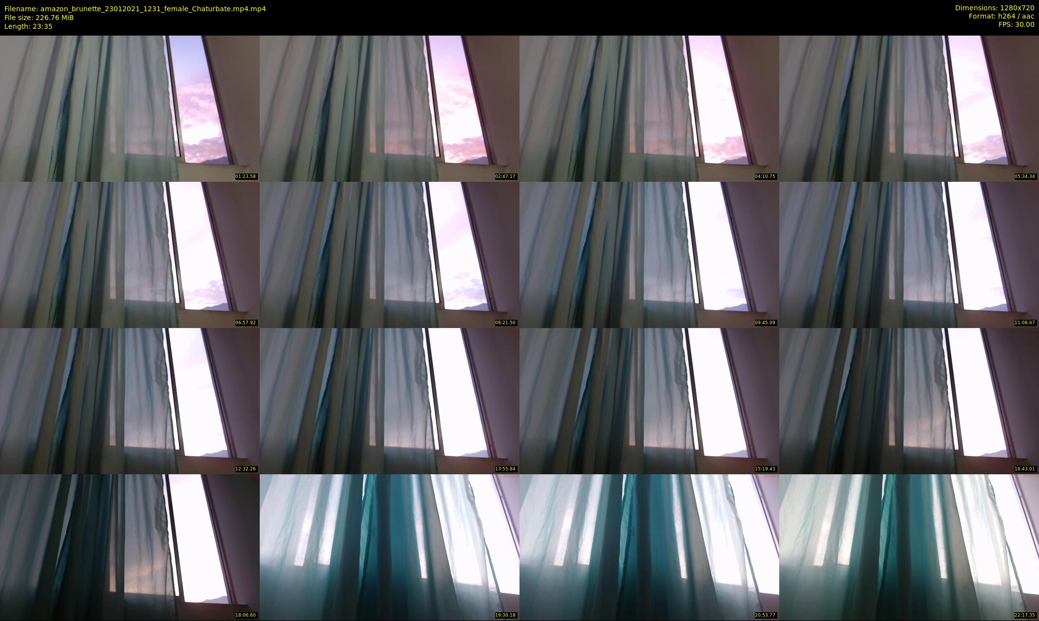 amazon_brunette — 24 minute Chaturbate female cam show recording, 720p, Jan 23, 2021
