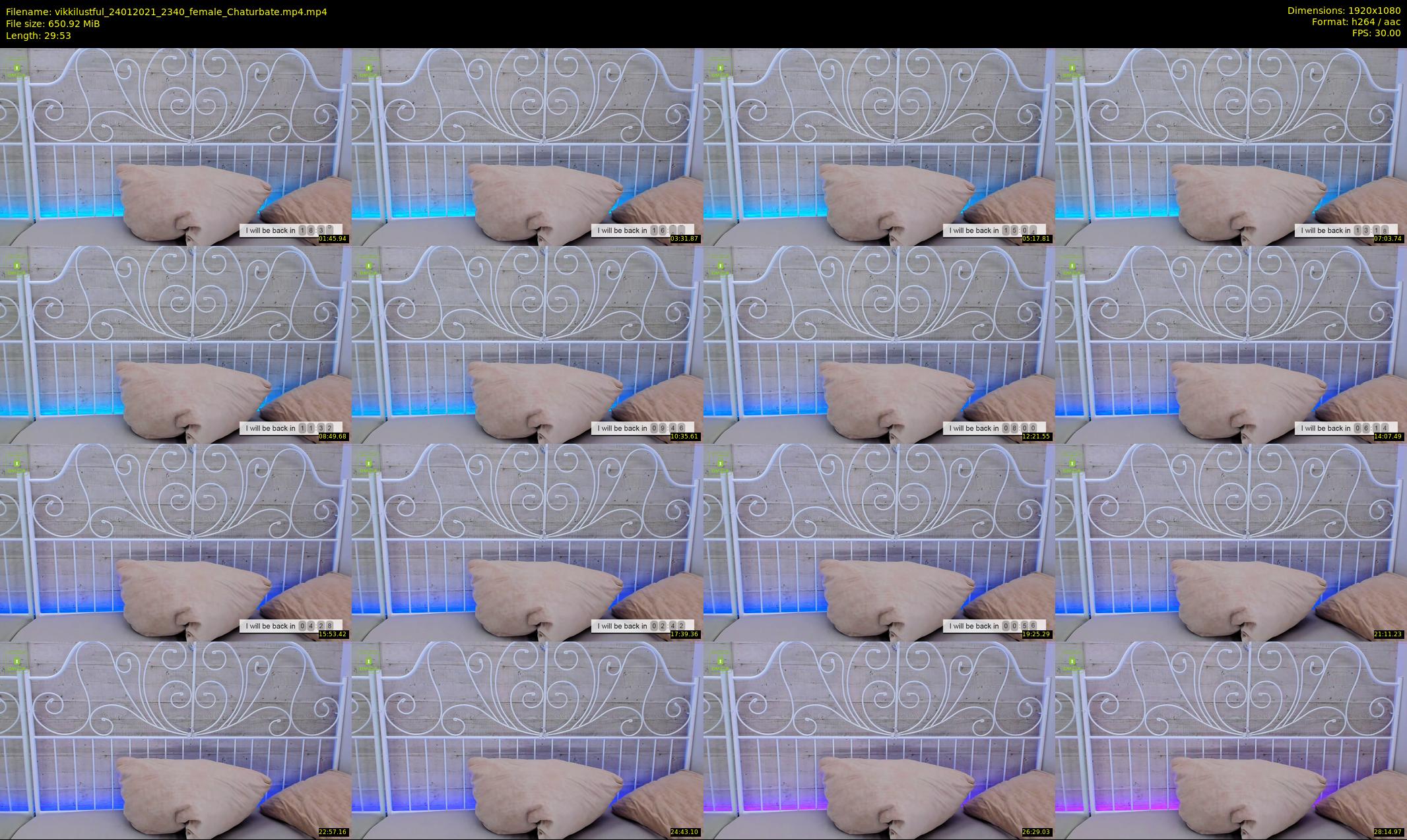 vikkilustful — 30 minute Chaturbate female cam show recording, 1080p, Jan 24, 2021