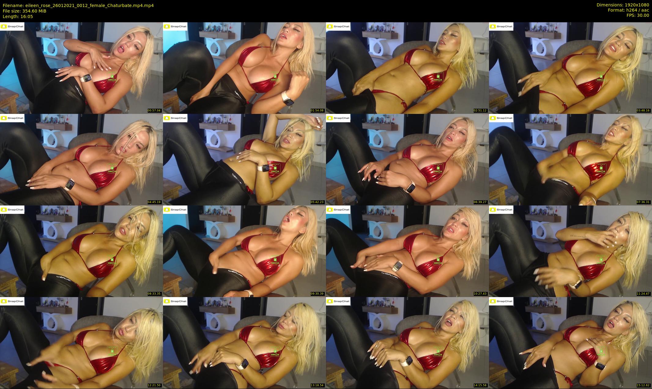 eileen_rose — 17 minute Chaturbate female cam show recording, 1080p, Jan 26, 2021