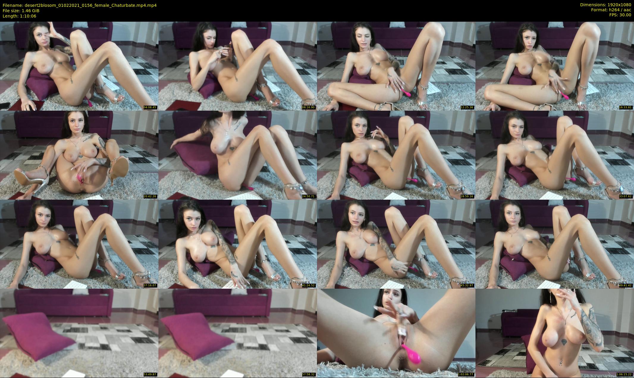 desert2blosom — 71 minute Chaturbate female cam show recording, 1080p, Feb 1, 2021