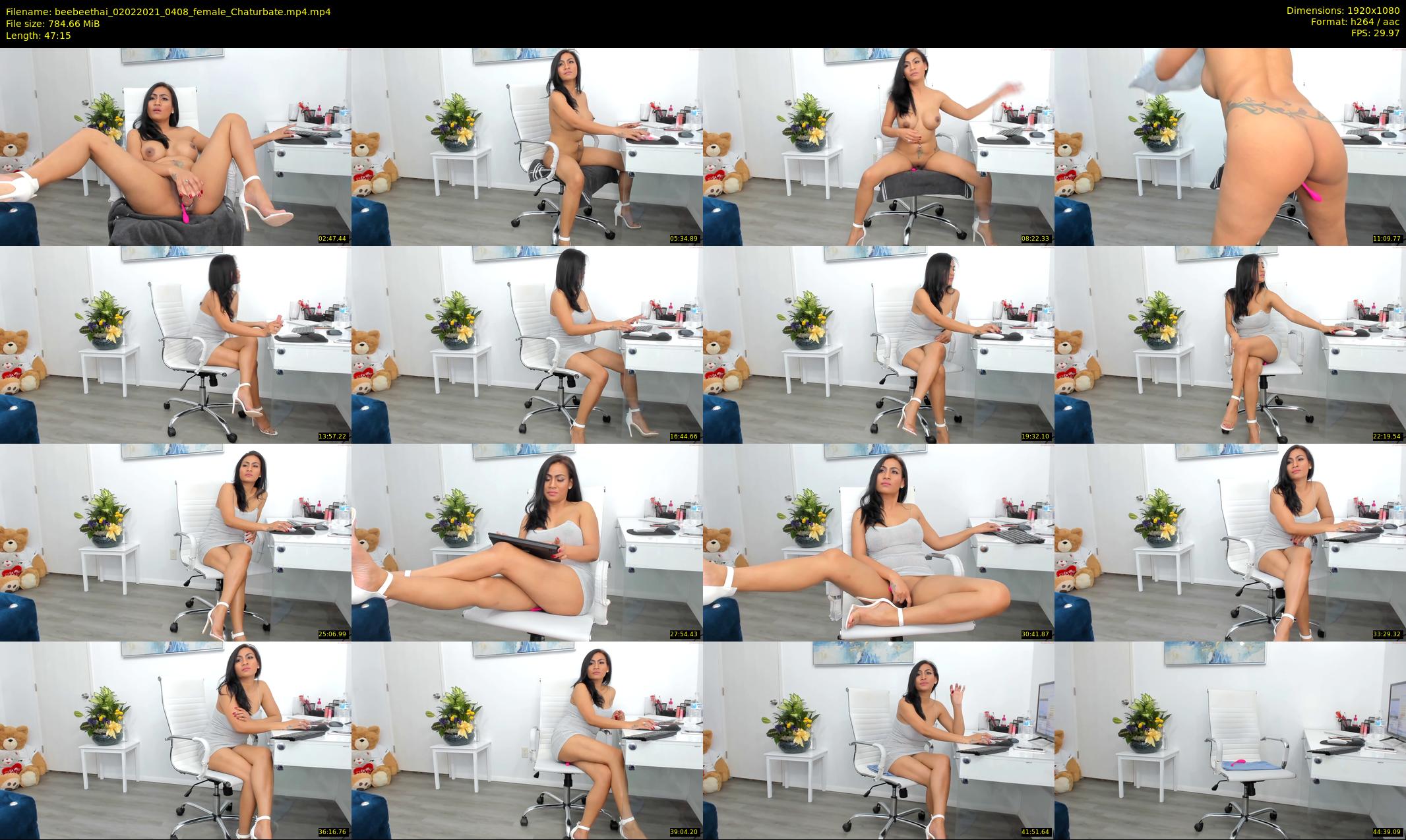 beebeethai — 48 minute Chaturbate female cam show recording, 1080p, Feb 2, 2021