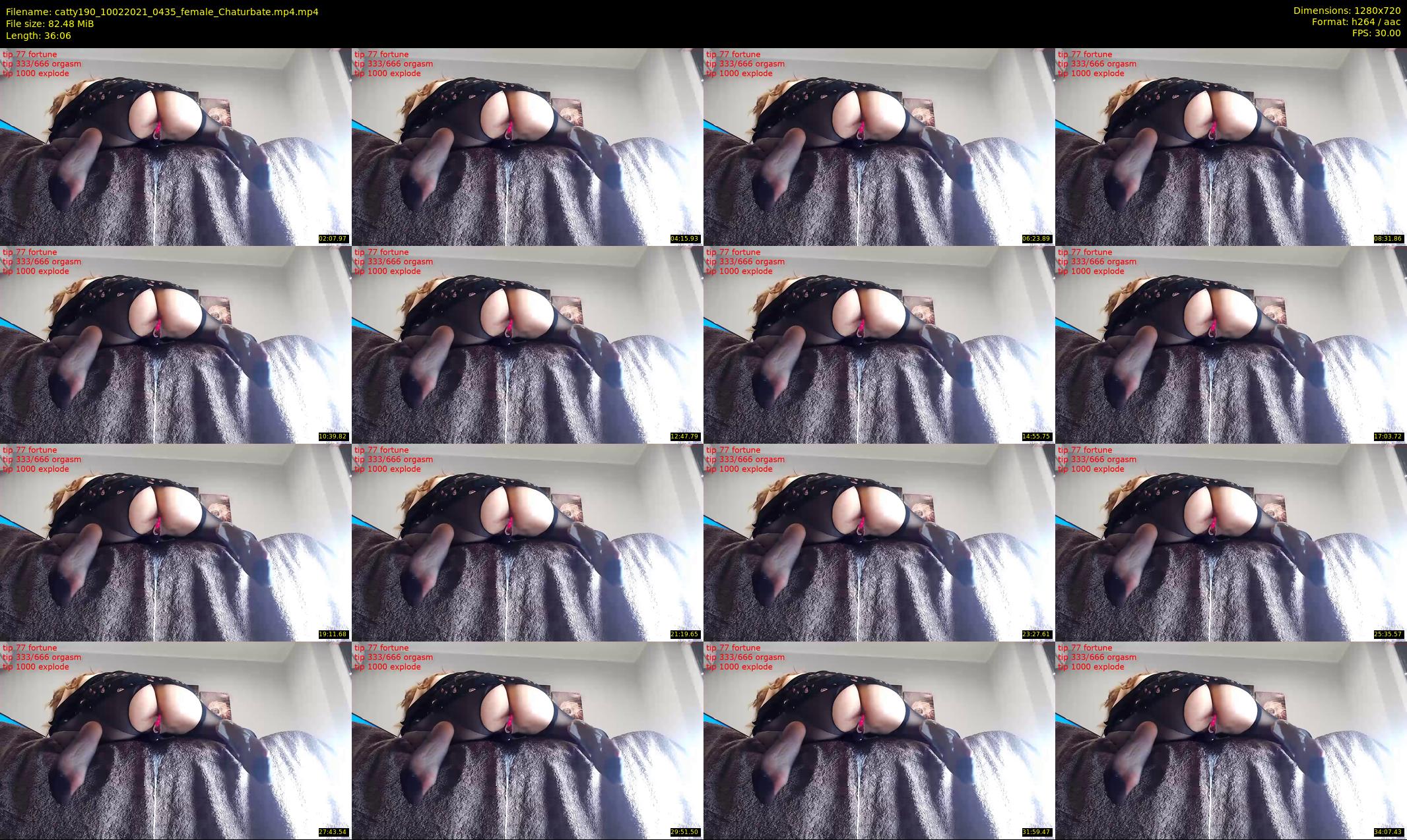 catty190 — 37 minute Chaturbate female cam show recording, 720p, Feb 10, 2021