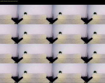abogailmaartin — 7 minute Chaturbate female cam show recording, 1080p, Feb 11, 2021