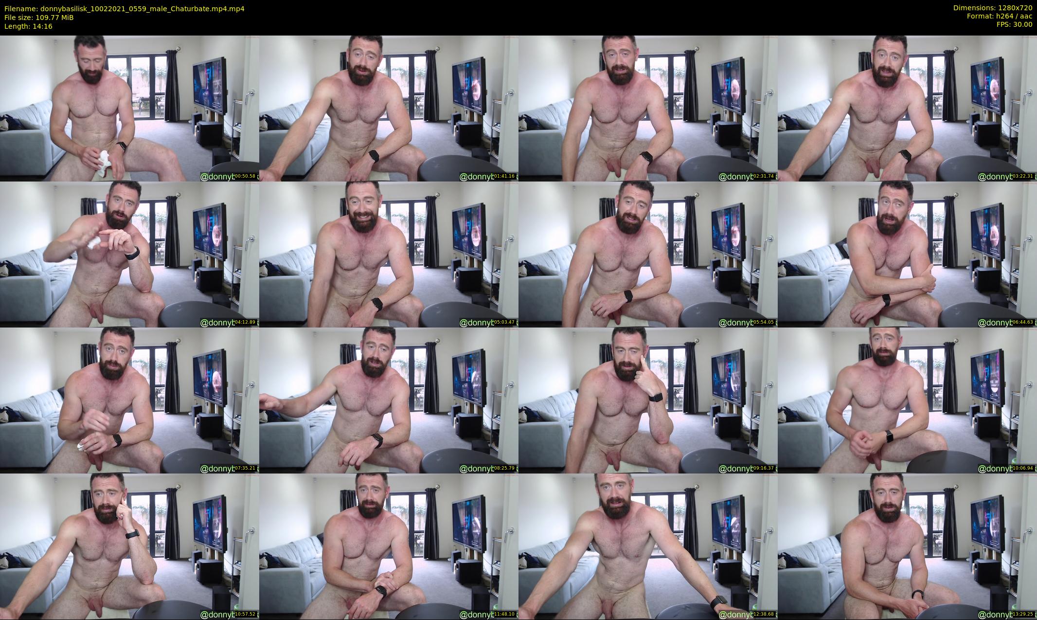 donnybasilisk — 15 minute Chaturbate male cam show recording, 720p, Feb 10, 2021