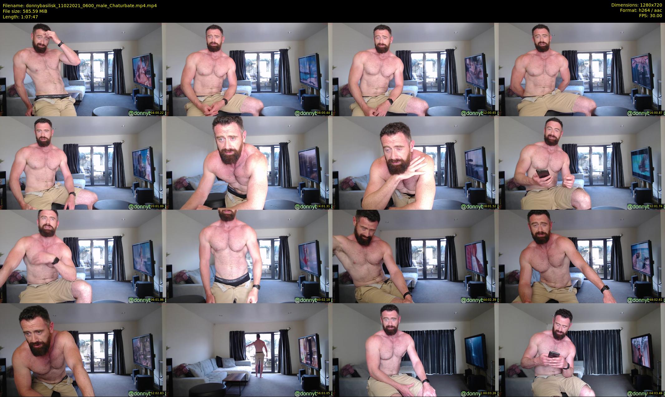donnybasilisk — 68 minute Chaturbate male cam show recording, 720p, Feb 11, 2021
