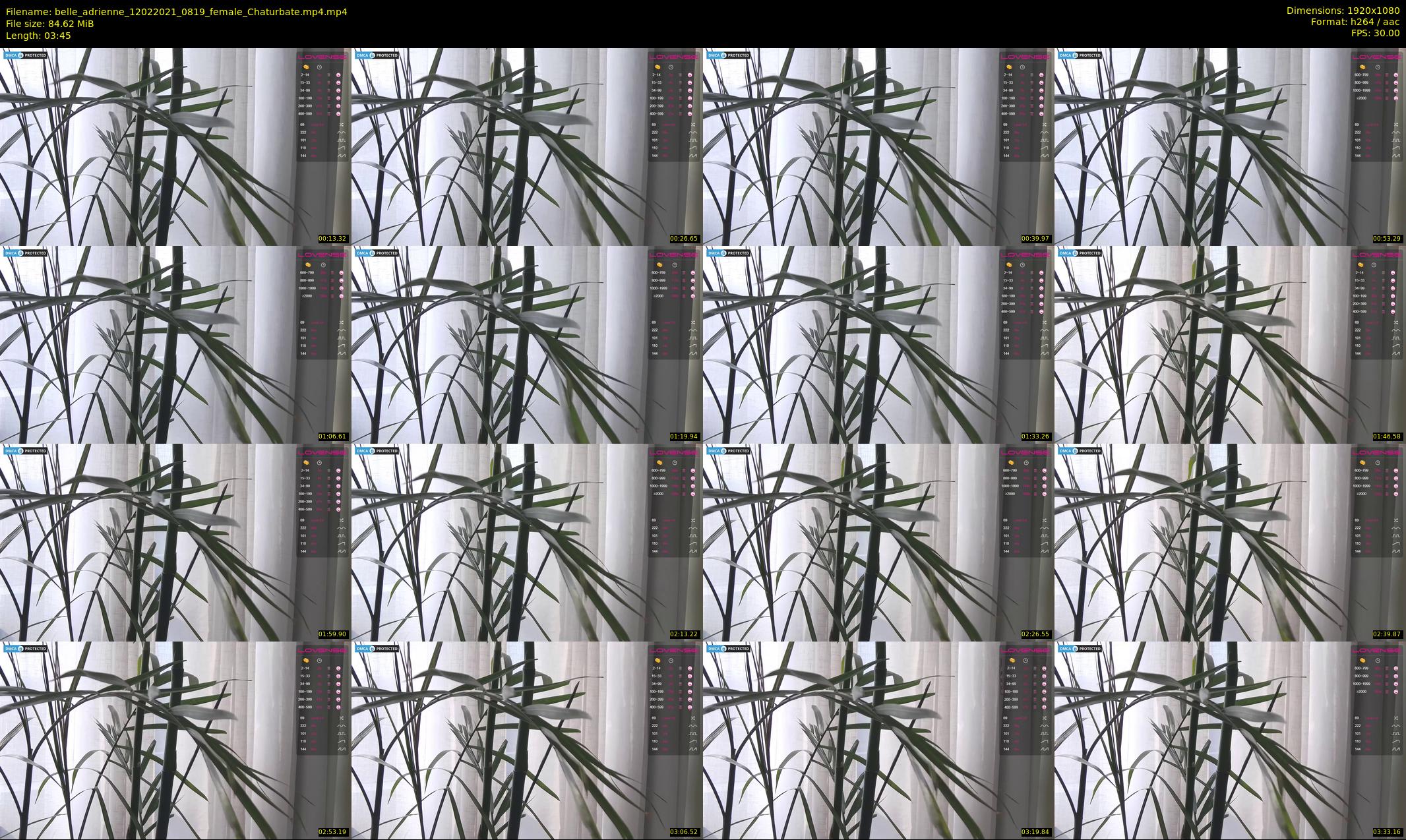 belle_adrienne — 4 minute Chaturbate couple cam show recording, 1080p, Feb 12, 2021