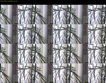 belle_adrienne — 4 minute Chaturbate couple cam show recording, 1080p, Feb 12, 2021