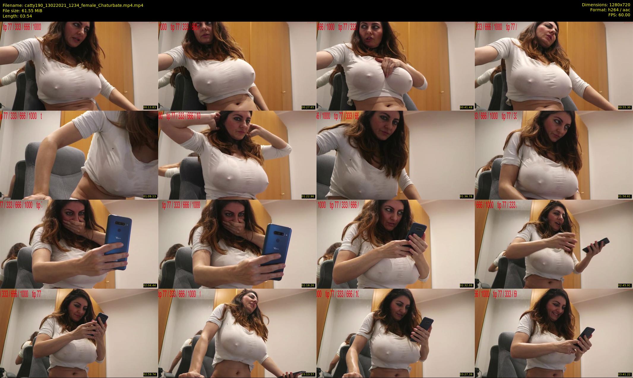 catty190 — 4 minute Chaturbate female cam show recording, 720p, Feb 13, 2021