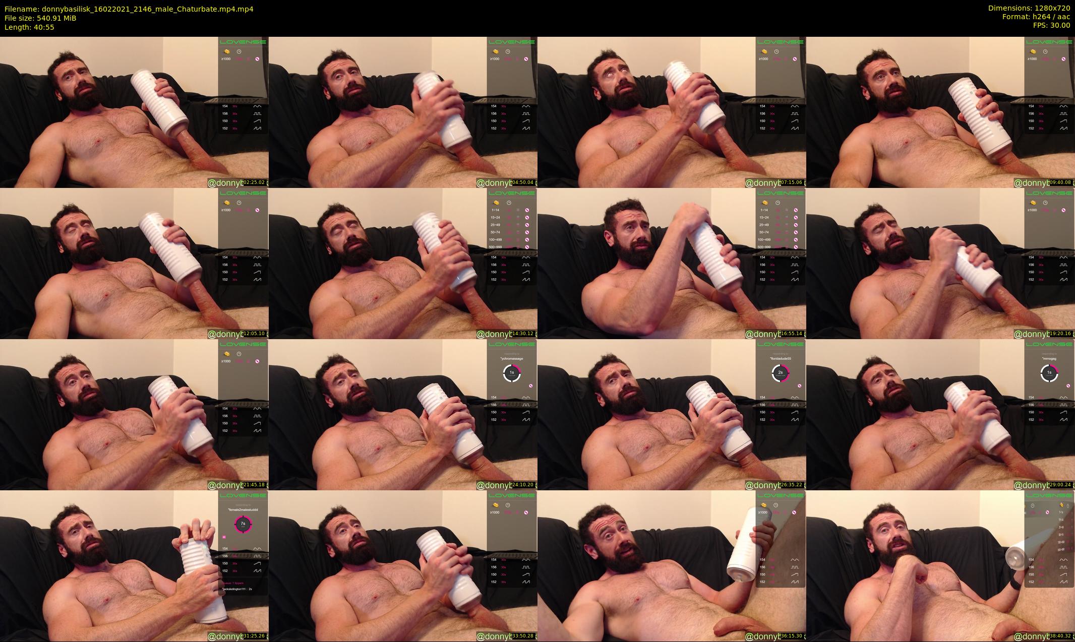 donnybasilisk — 41 minute Chaturbate male cam show recording, 720p, Feb 16, 2021