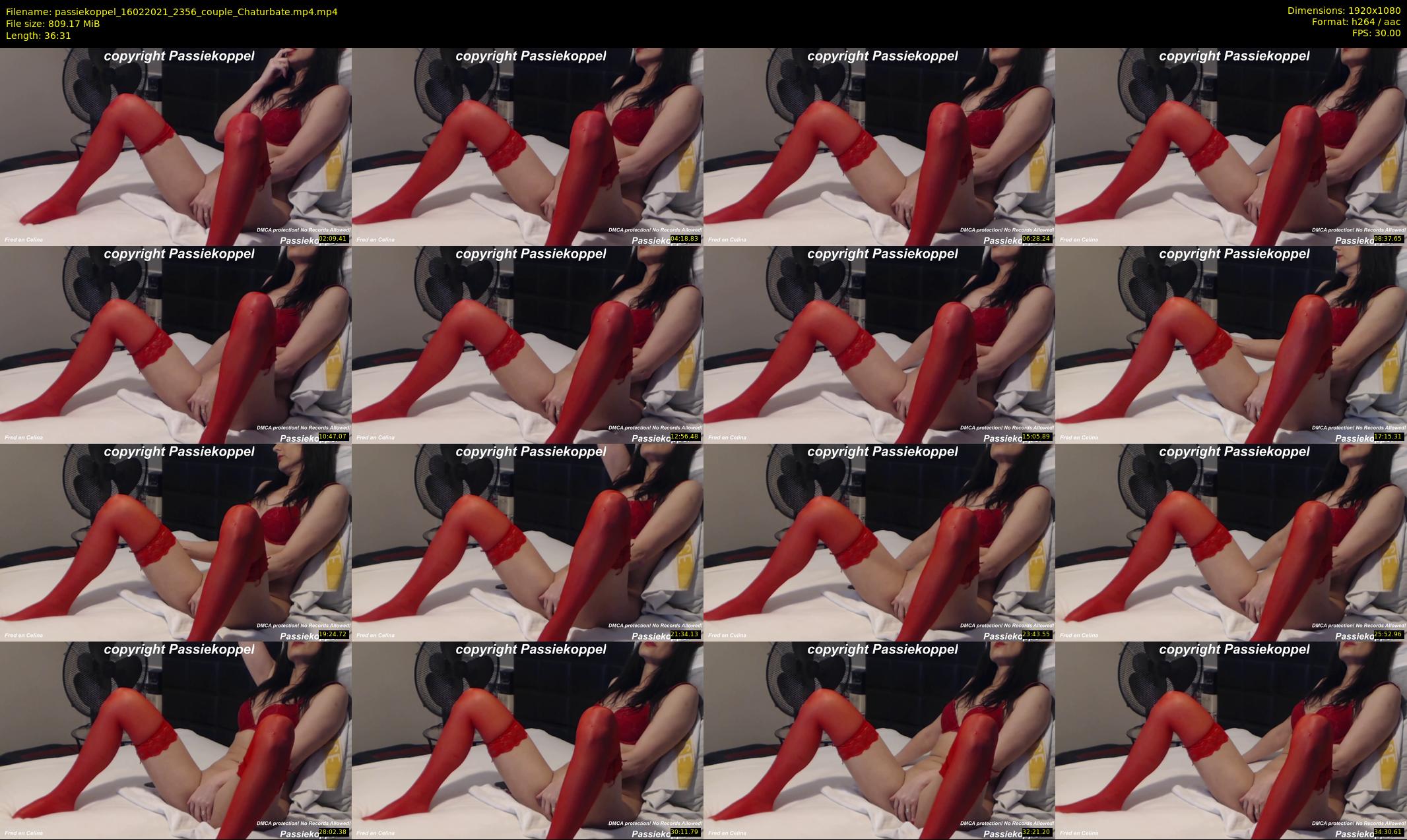 passiekoppel — 37 minute Chaturbate couple cam show recording, 1080p, Feb 16, 2021