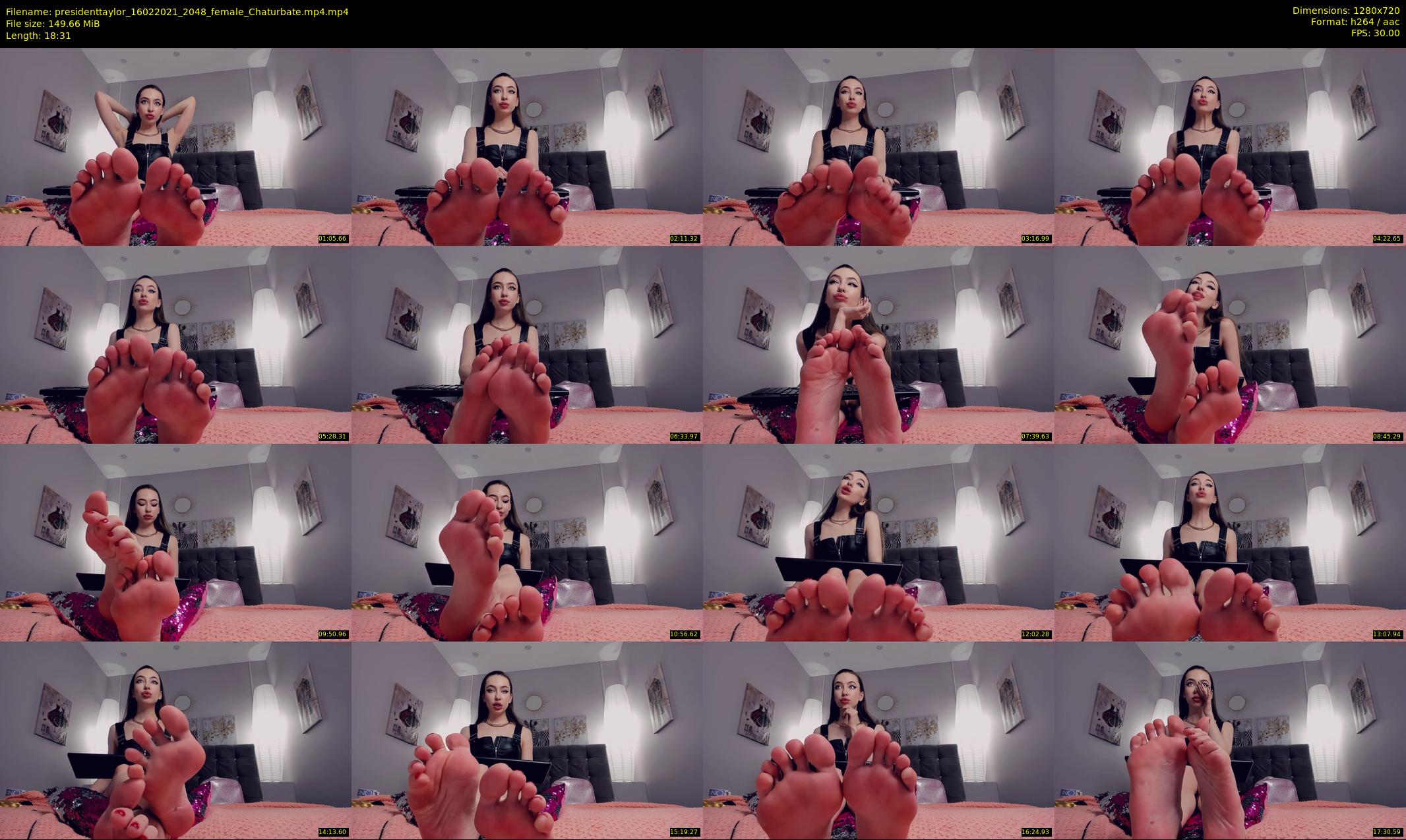presidenttaylor — 19 minute Chaturbate female cam show recording, 720p, Feb 16, 2021