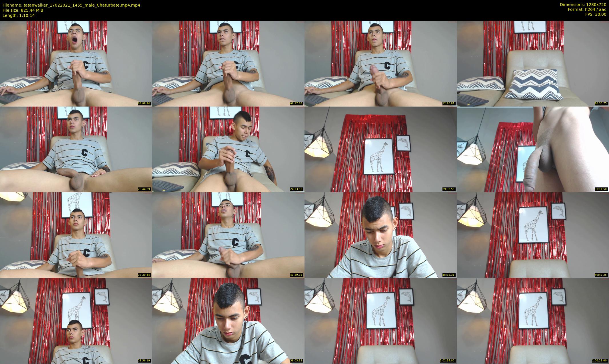 tatanwalker — 71 minute Chaturbate male cam show recording, 720p, Feb 17, 2021