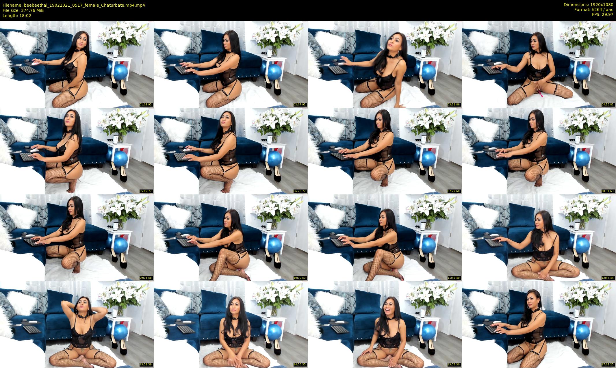 beebeethai — 19 minute Chaturbate female cam show recording, 1080p, Feb 19, 2021