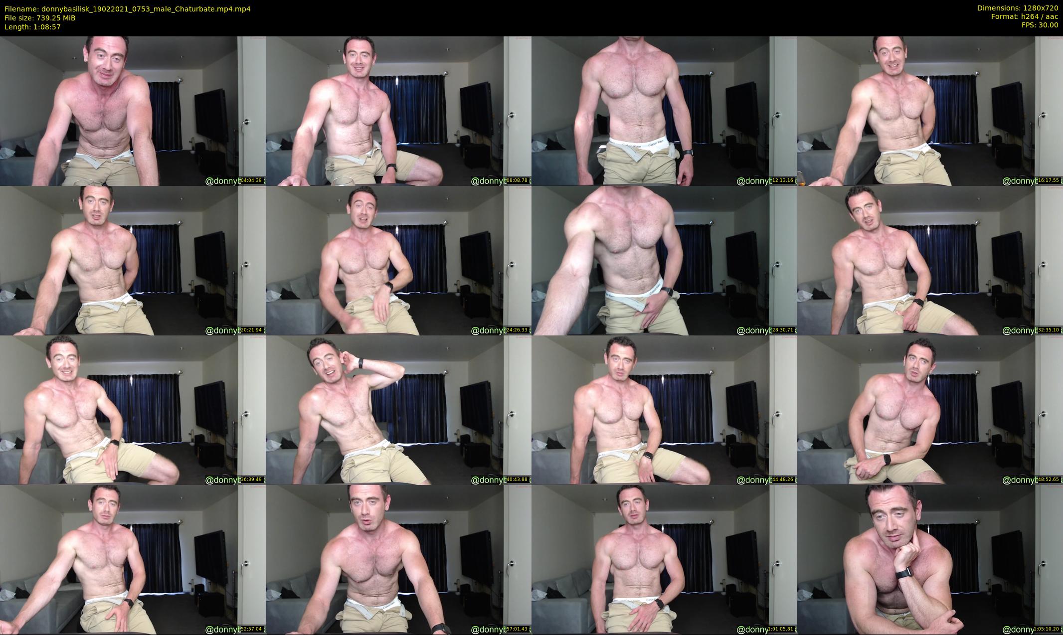 donnybasilisk — 69 minute Chaturbate male cam show recording, 720p, Feb 19, 2021