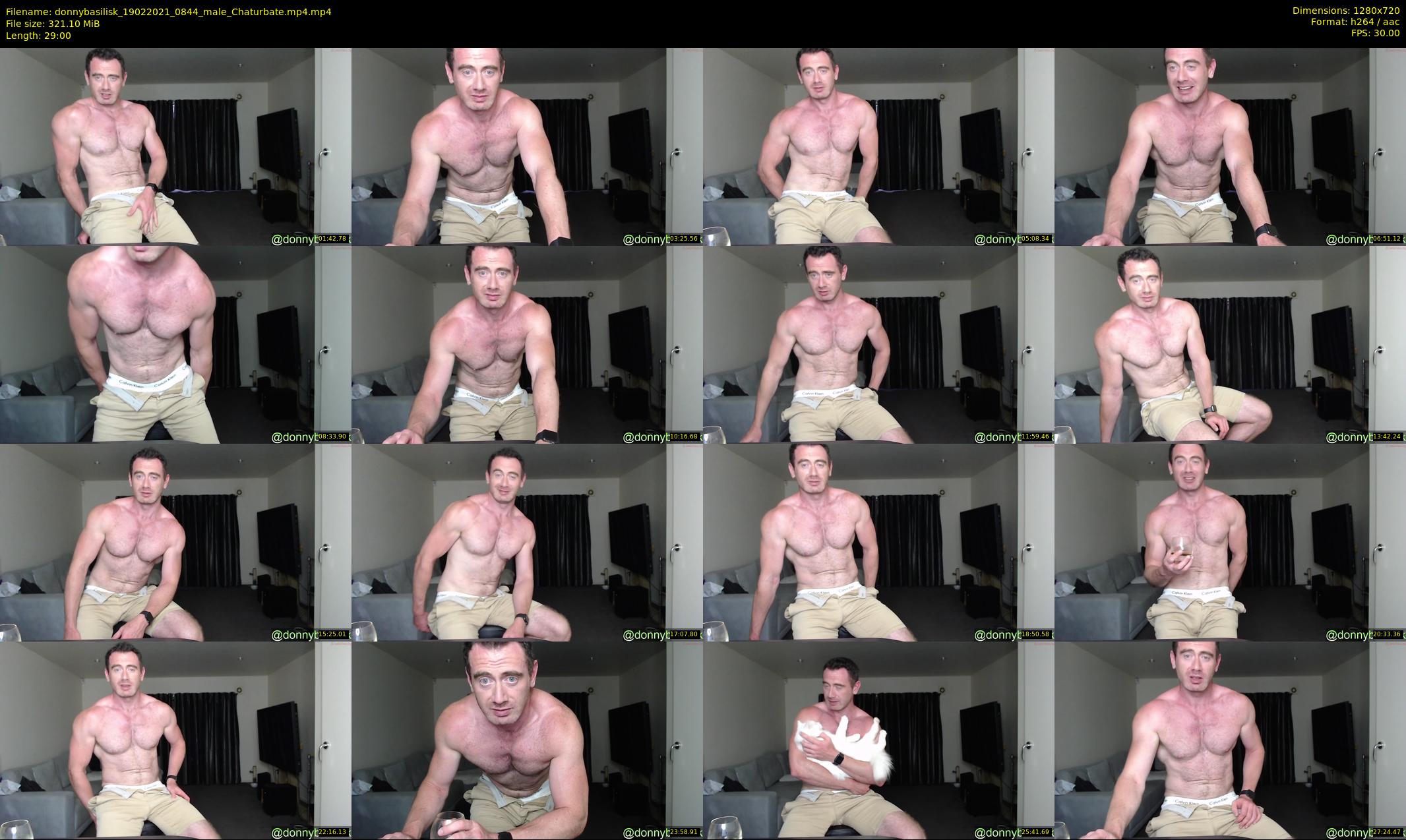 donnybasilisk — 29 minute Chaturbate male cam show recording, 720p, Feb 19, 2021
