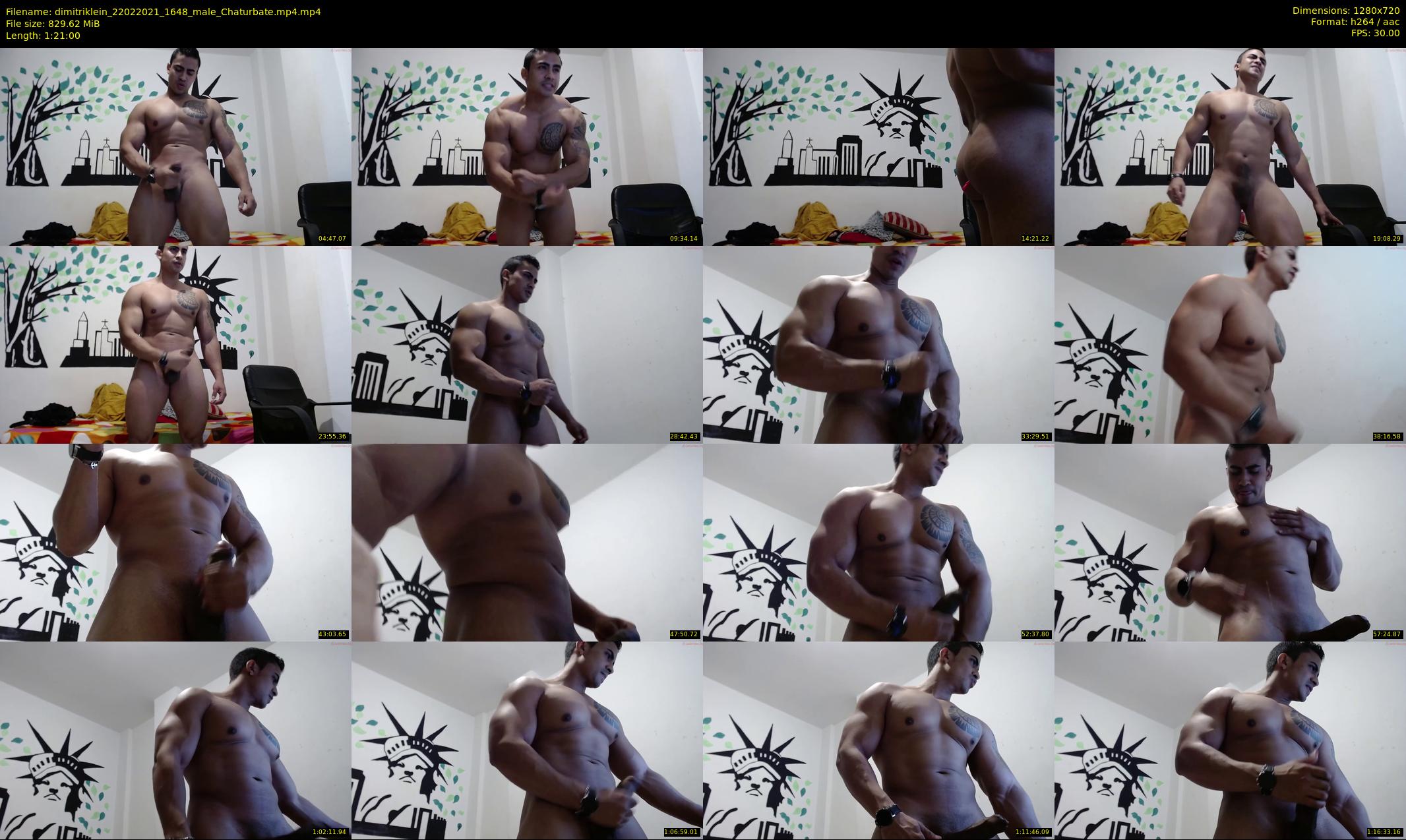 dimitriklein — 81 minute Chaturbate male cam show recording, 720p, Feb 22, 2021