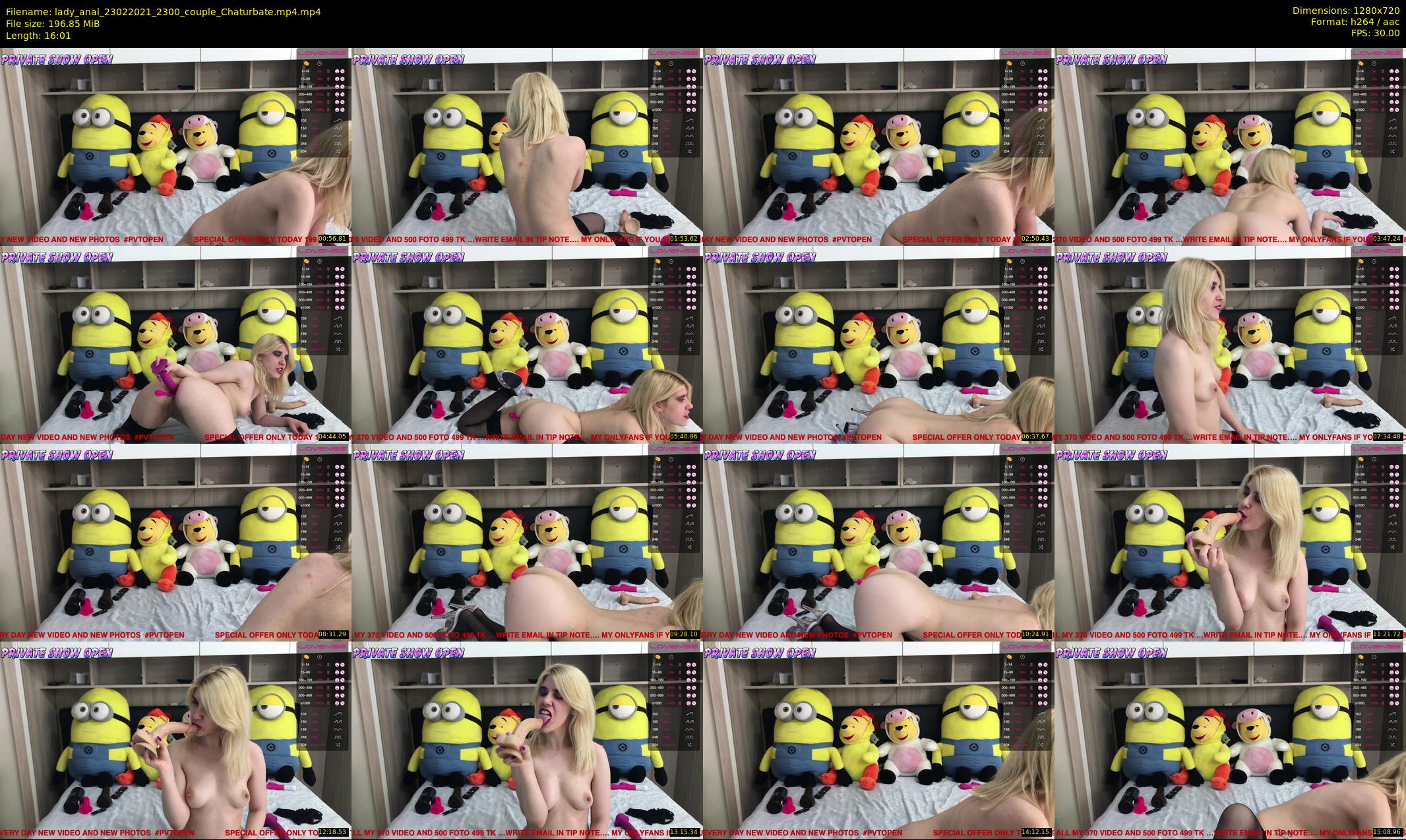 lady_anal — 17 minute Chaturbate female cam show recording, 720p, Feb 23, 2021