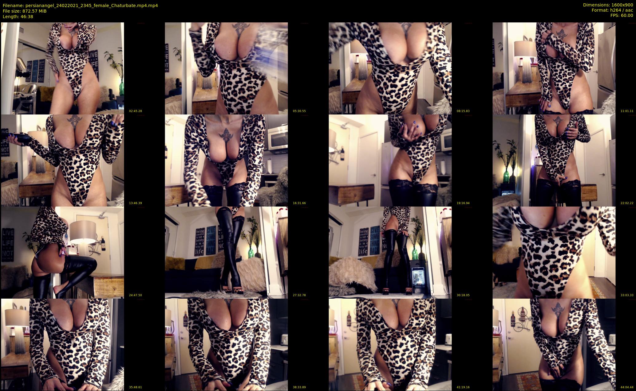 persianangel — 47 minute Chaturbate female cam show recording, 720p, Feb 24, 2021