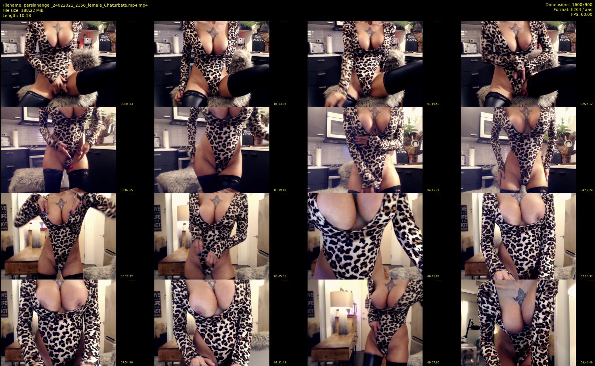 persianangel — 11 minute Chaturbate female cam show recording, 720p, Feb 24, 2021