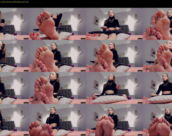 presidenttaylor — 29 minute Chaturbate female cam show recording, 720p, Feb 24, 2021