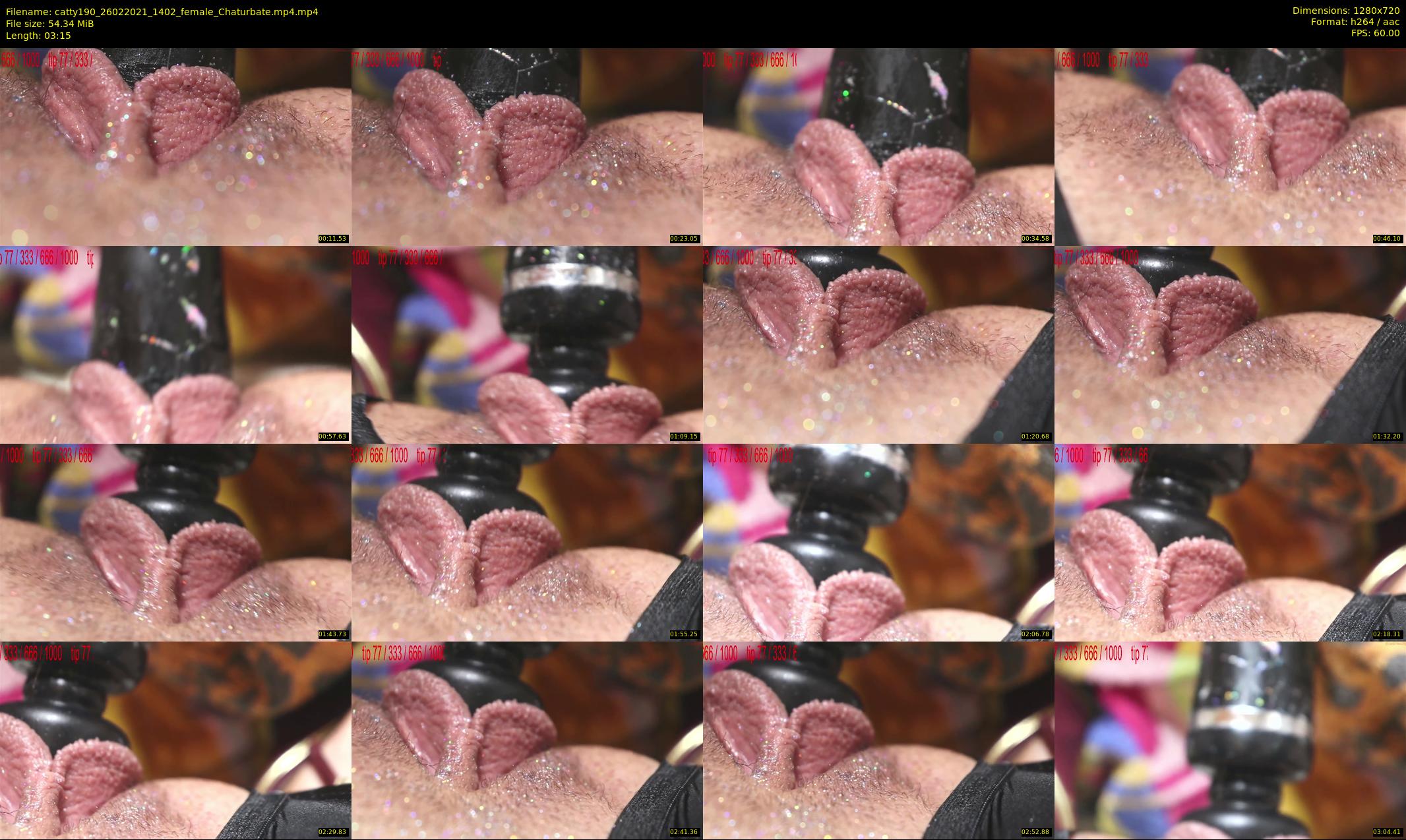 catty190 — 4 minute Chaturbate female cam show recording, 720p, Feb 26, 2021