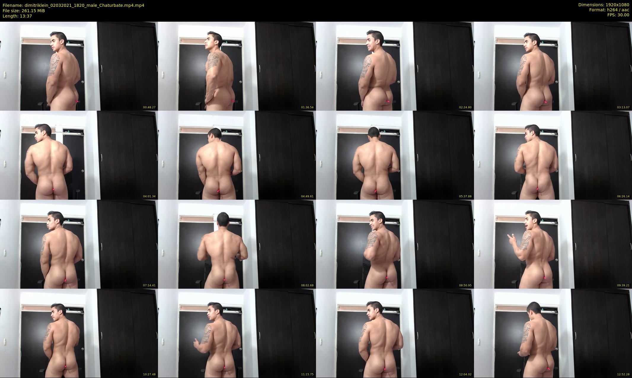 dimitriklein — 14 minute Chaturbate male cam show recording, 1080p, Mar 2, 2021