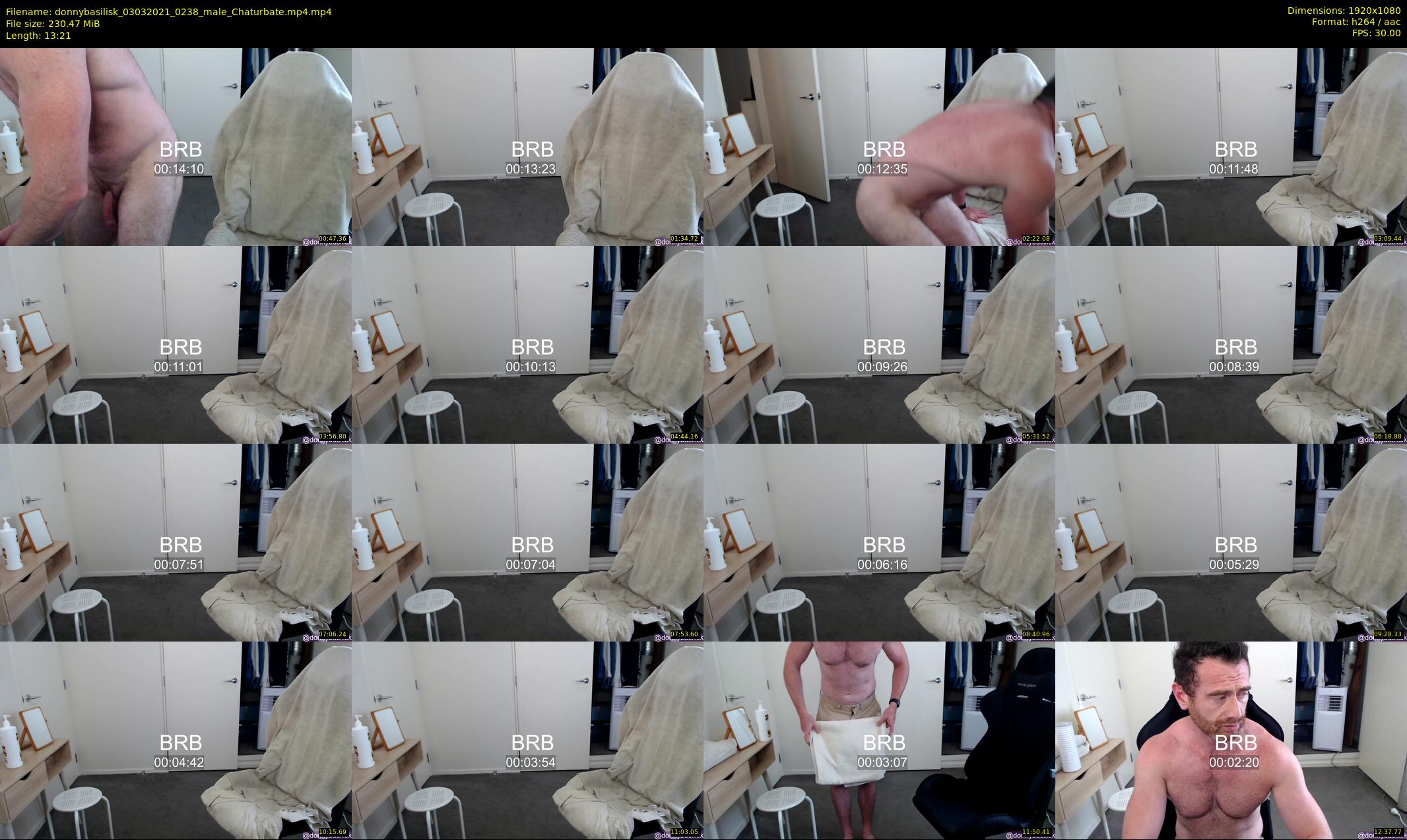 donnybasilisk — 14 minute Chaturbate male cam show recording, 1080p, Mar 3, 2021