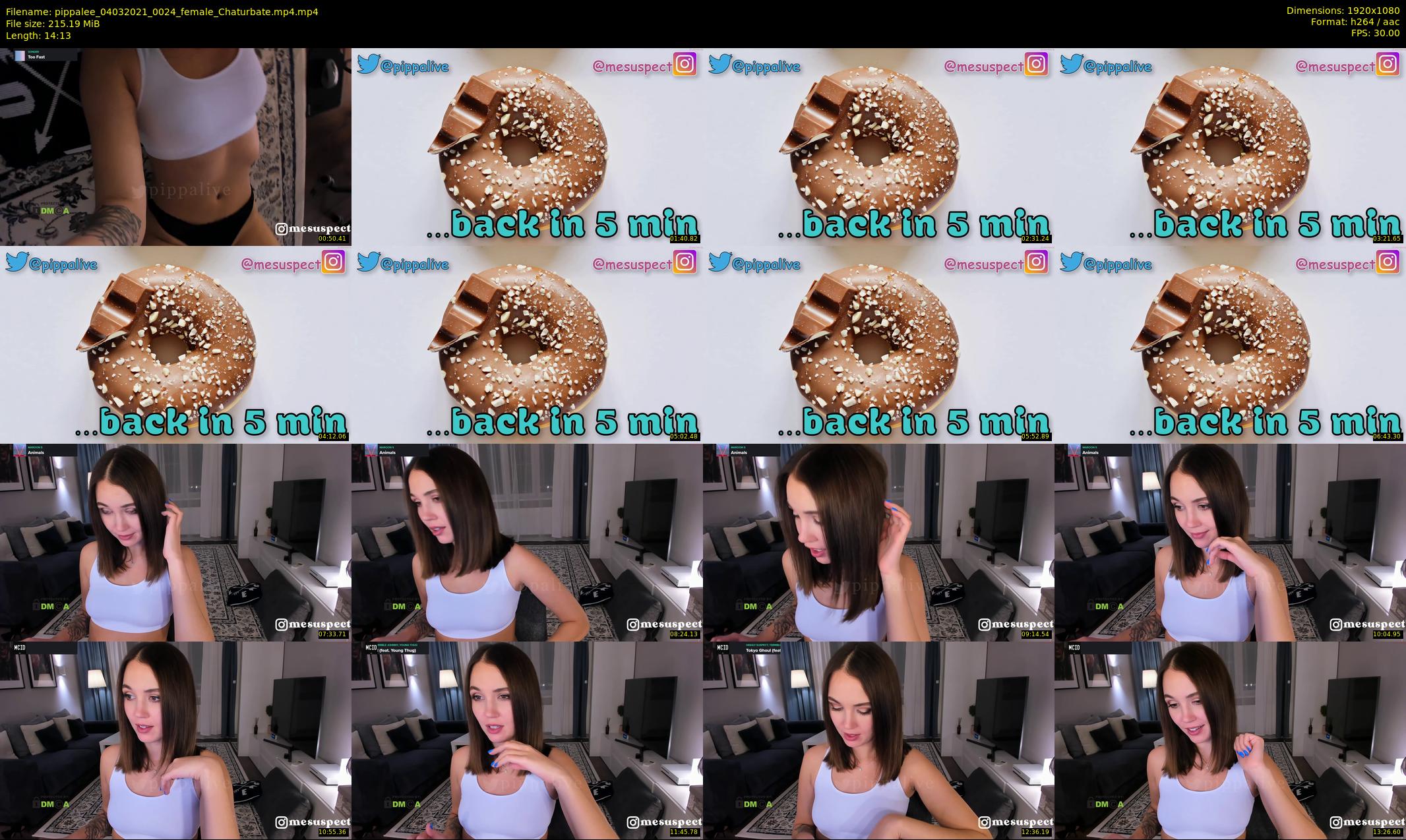 pippalee — 15 minute Chaturbate female cam show recording, 1080p, Mar 4, 2021