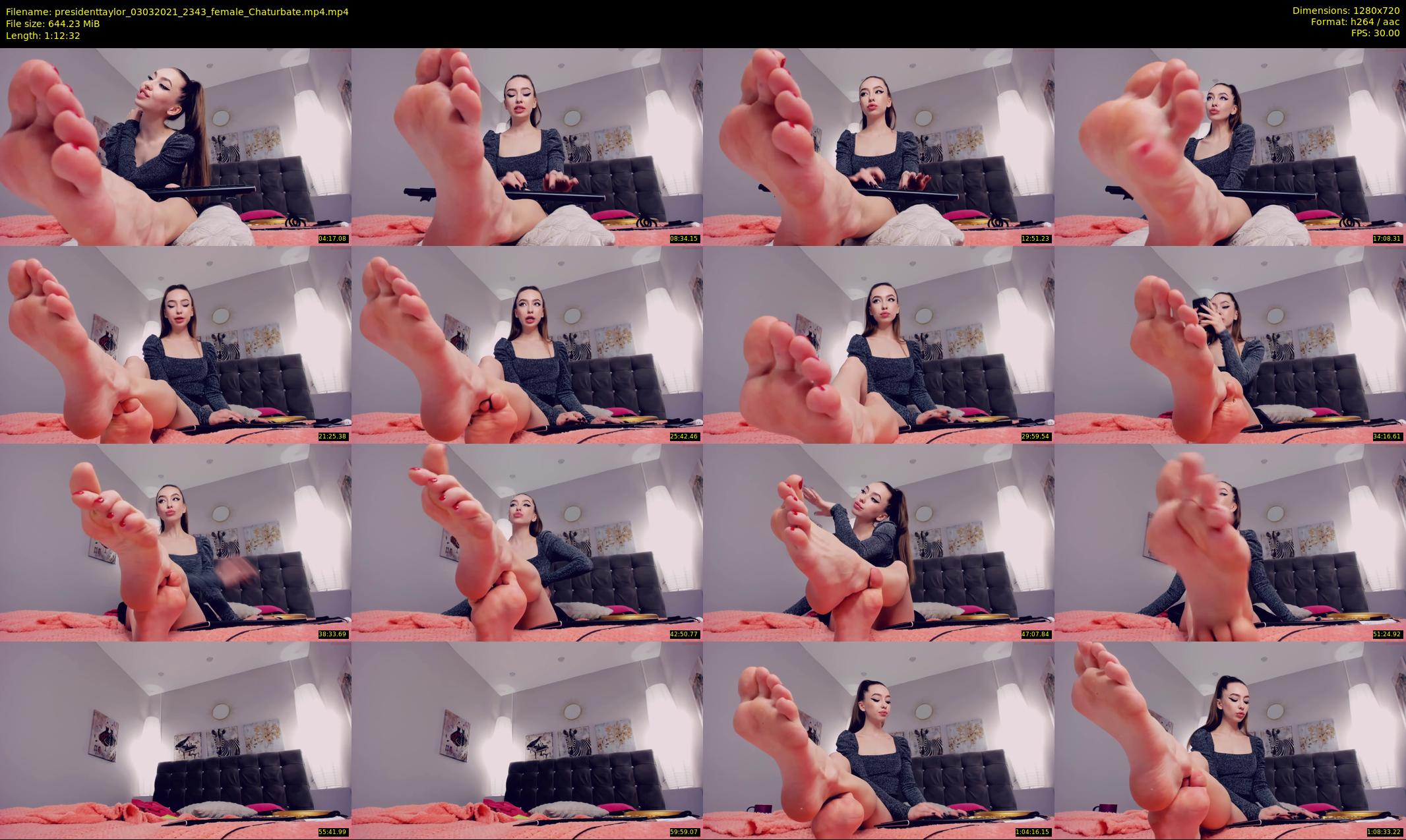 presidenttaylor — 73 minute Chaturbate female cam show recording, 720p, Mar 3, 2021