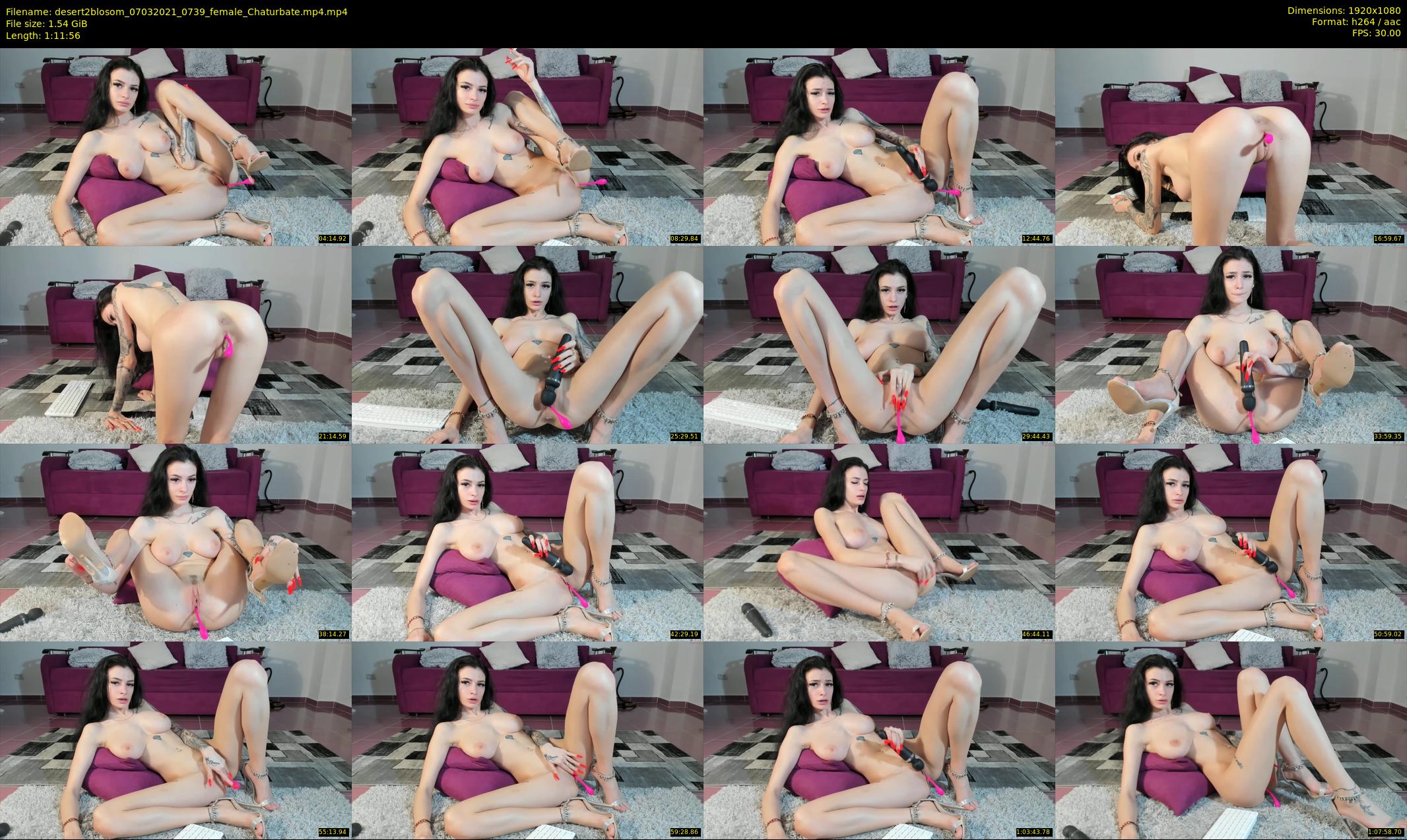 desert2blosom — 72 minute Chaturbate female cam show recording, 1080p, Mar 7, 2021