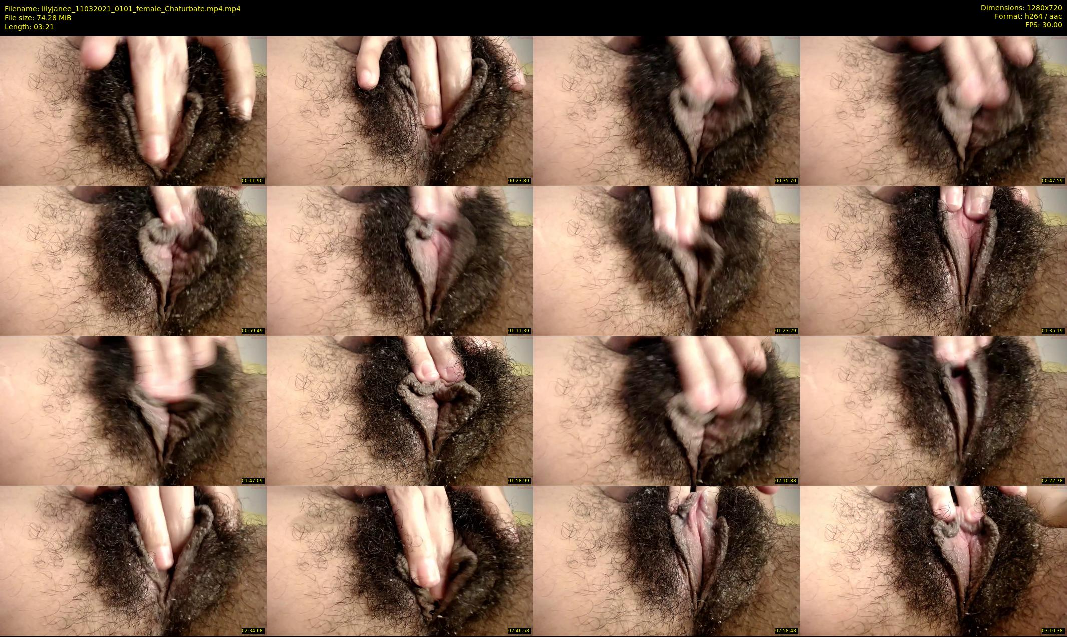 lilyjanee — 4 minute Chaturbate female cam show recording, 720p, Mar 11, 2021