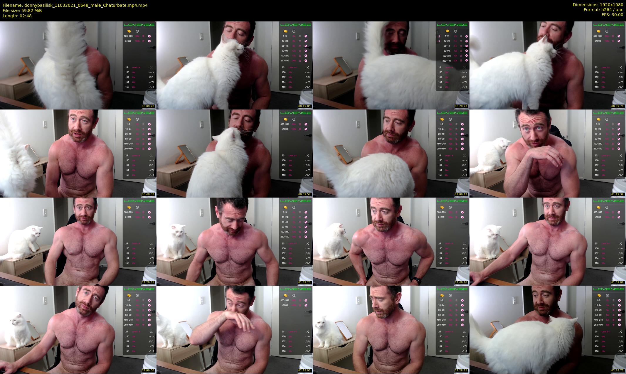 donnybasilisk — 3 minute Chaturbate male cam show recording, 1080p, Mar 11, 2021
