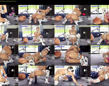 foxandfoxy — 65 minute Chaturbate couple cam show recording, 1080p, Mar 19, 2021