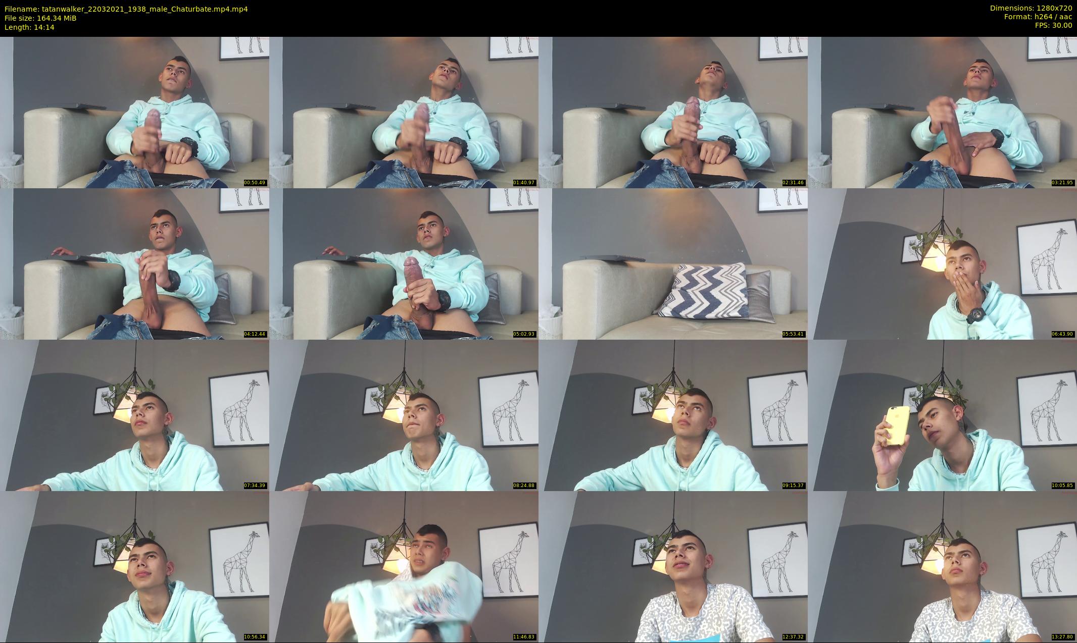 tatanwalker — 15 minute Chaturbate male cam show recording, 720p, Mar 22, 2021