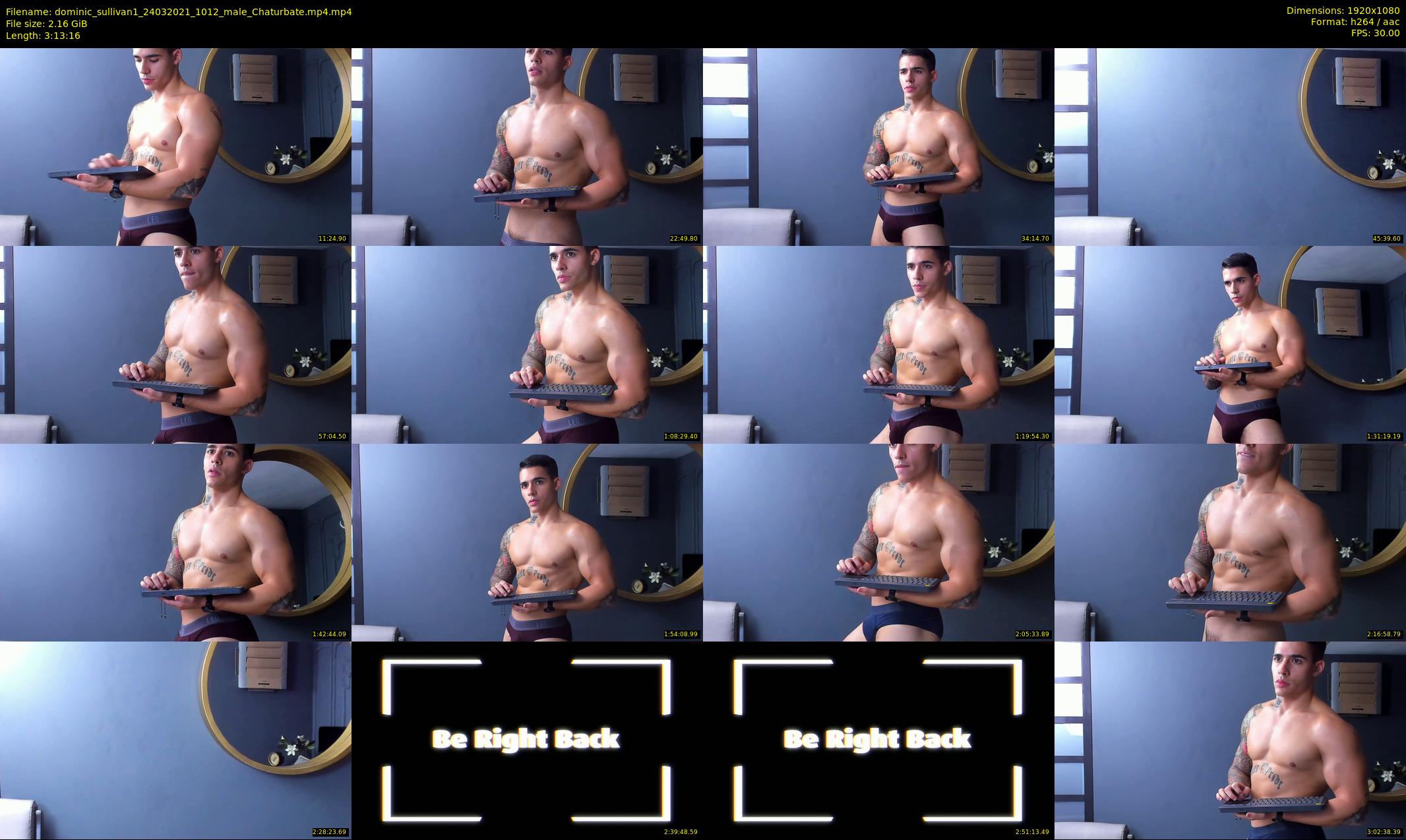 dominic_sullivan1 — 194 minute Chaturbate male cam show recording, 1080p, Mar 24, 2021