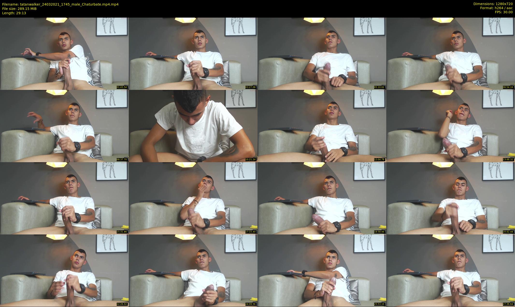 tatanwalker — 30 minute Chaturbate male cam show recording, 720p, Mar 24, 2021