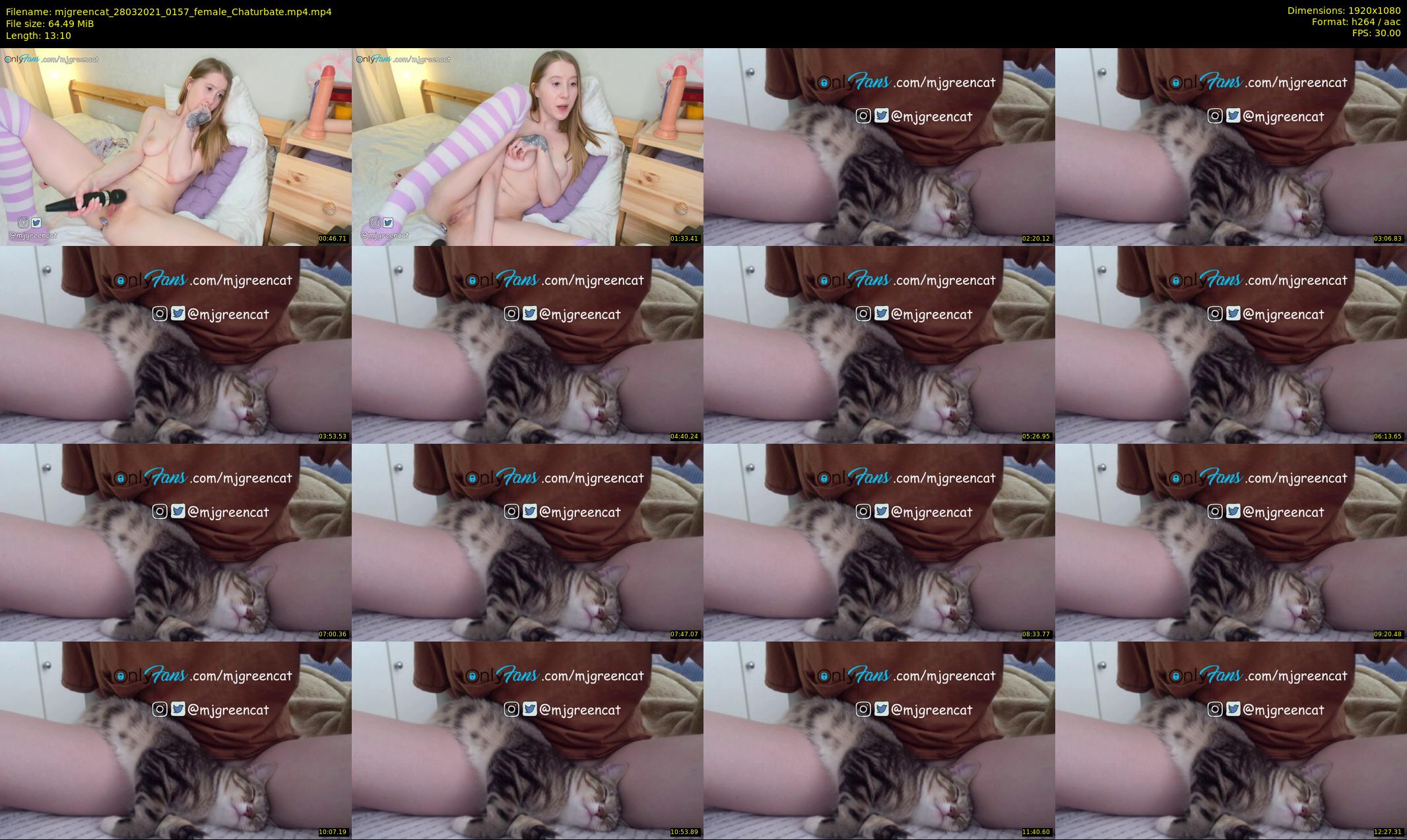 mjgreencat — 14 minute Chaturbate female cam show recording, 1080p, Mar 28, 2021