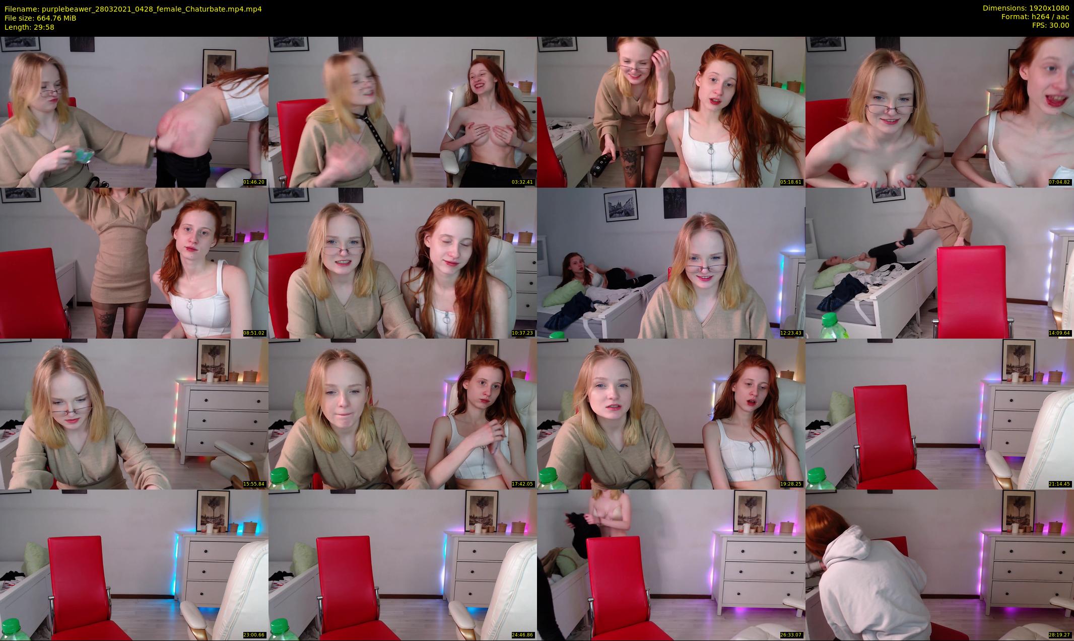 purplebeawer — 30 minute Chaturbate female cam show recording, 1080p, Mar 28, 2021