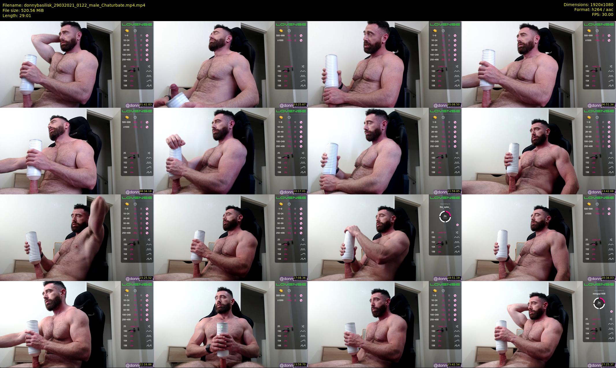donnybasilisk — 30 minute Chaturbate male cam show recording, 1080p, Mar 29, 2021