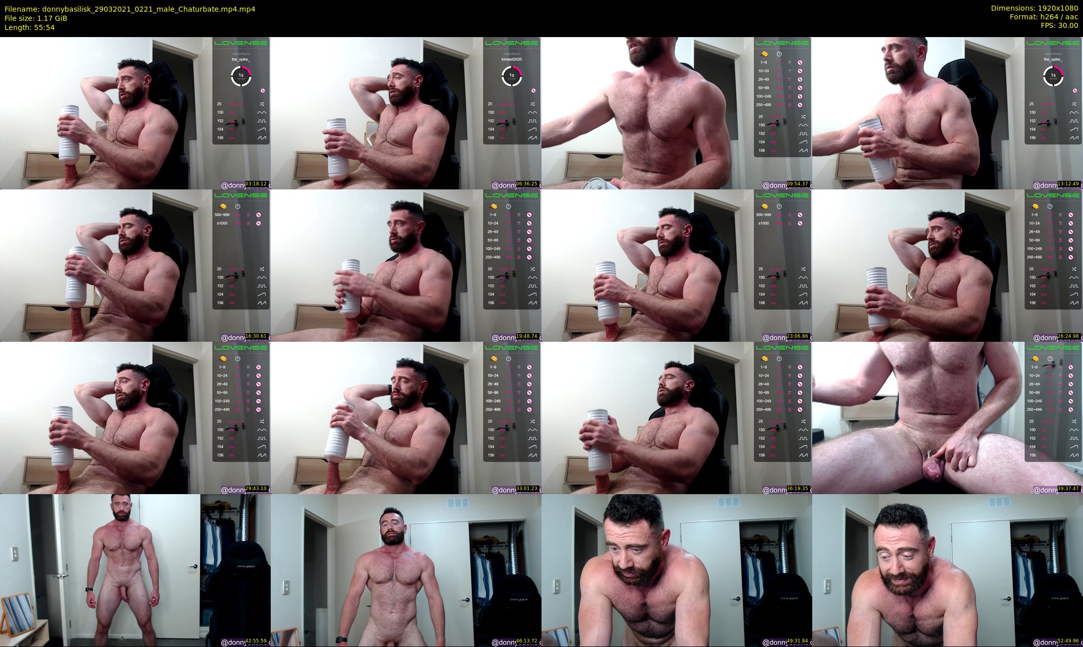 donnybasilisk — 56 minute Chaturbate male cam show recording, 1080p, Mar 29, 2021