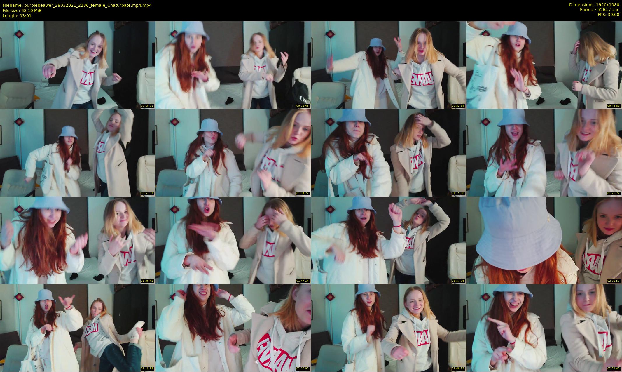 purplebeawer — 4 minute Chaturbate female cam show recording, 1080p, Mar 29, 2021