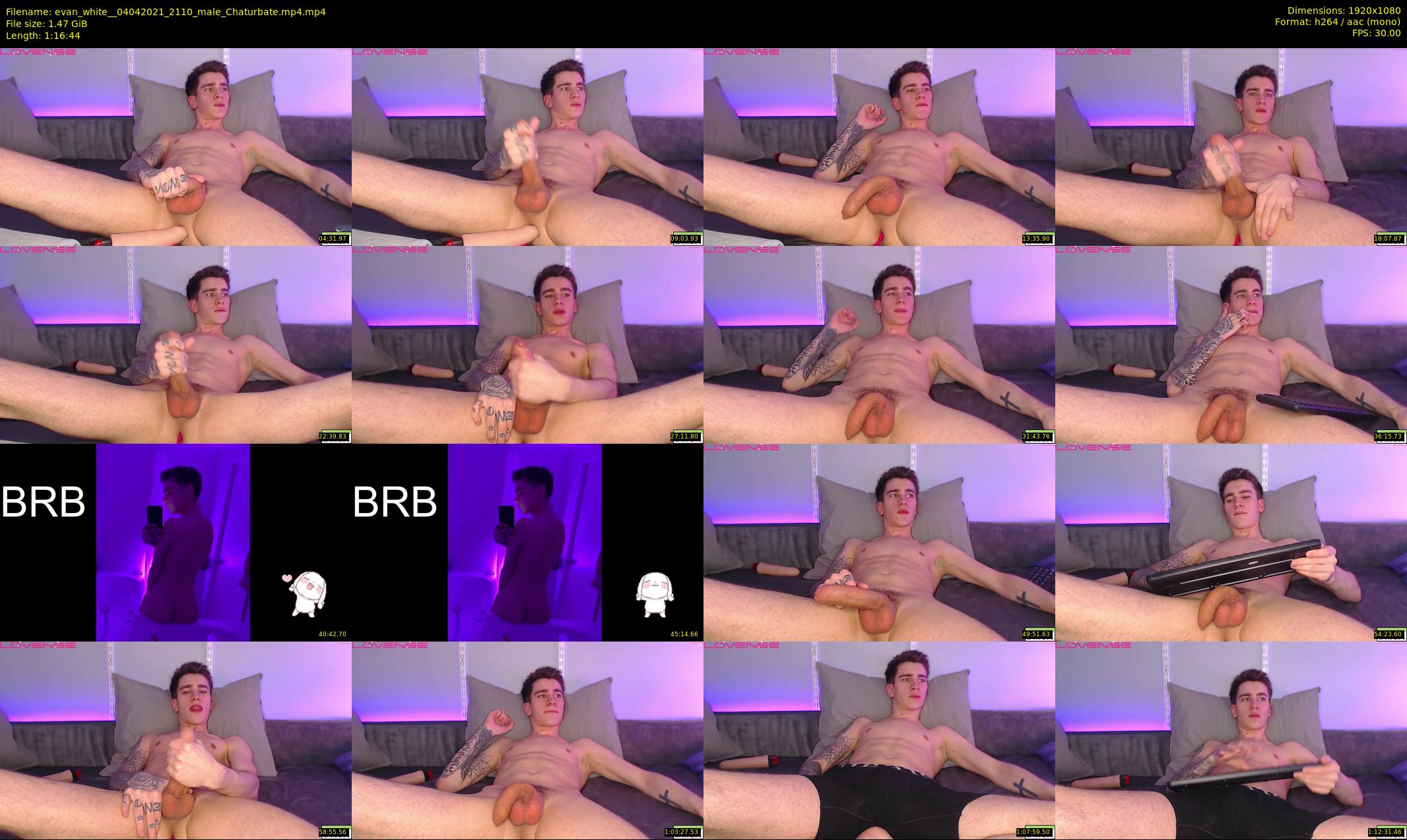 evan_white_ — 77 minute Chaturbate male cam show recording, 1080p, Apr 4, 2021