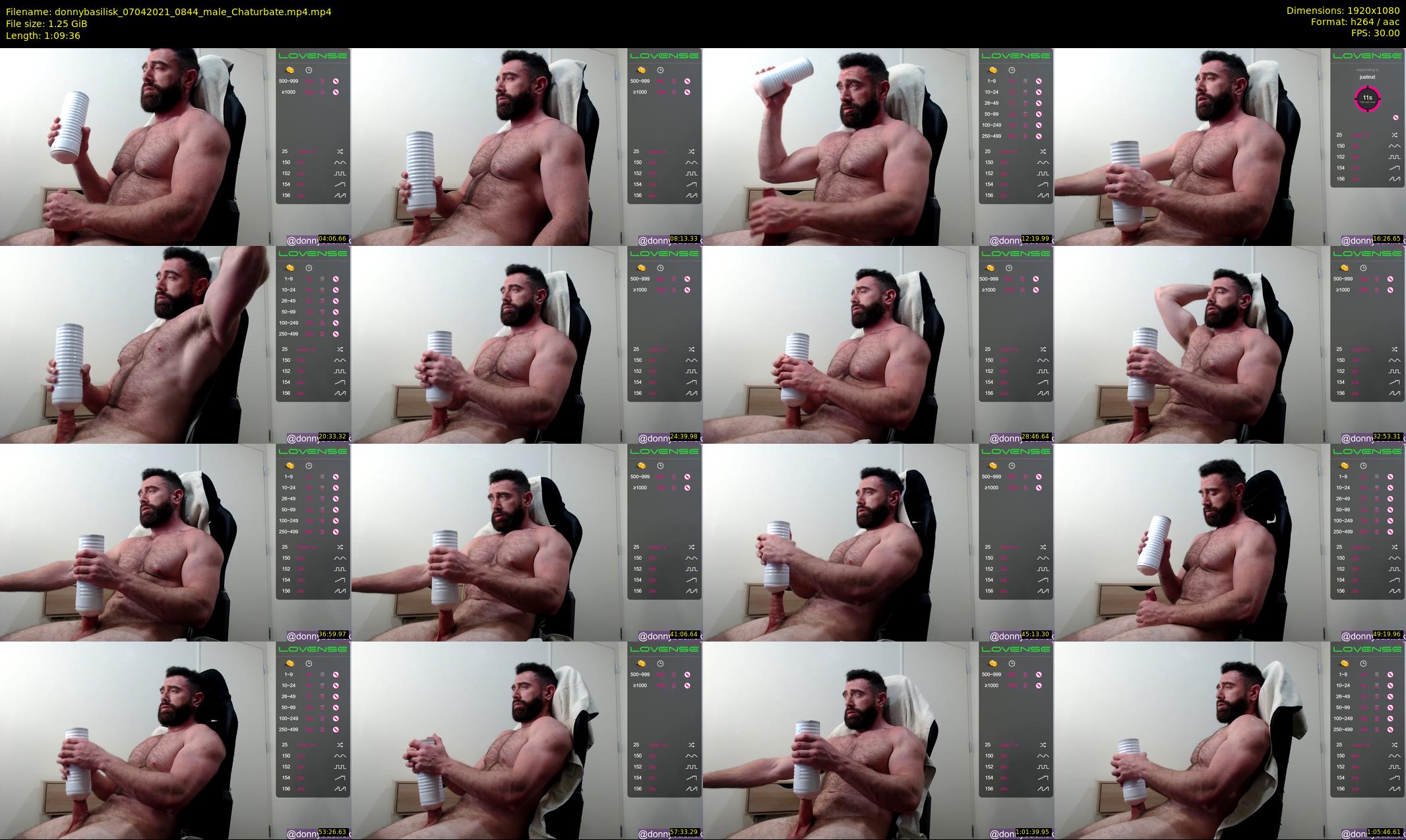 donnybasilisk — 70 minute Chaturbate male cam show recording, 1080p, Apr 7, 2021