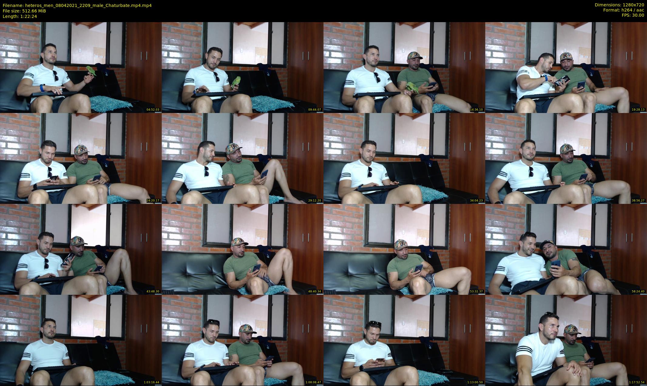 heteros_men — 83 minute Chaturbate male cam show recording, 720p, Apr 8, 2021