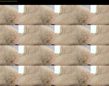 dianaholiday — 15 minute Chaturbate female cam show recording, 1080p, Apr 9, 2021