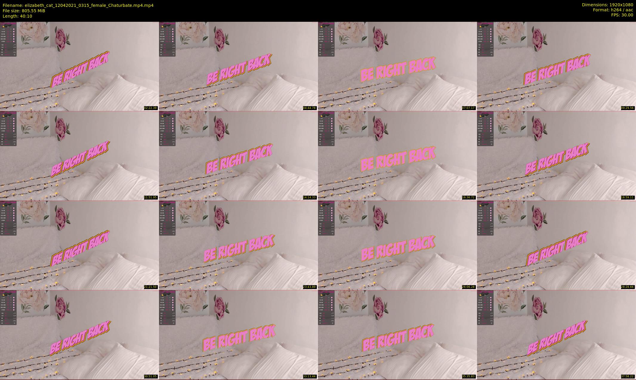 elizabeth_cat — 41 minute Chaturbate female cam show recording, 1080p, Apr 12, 2021