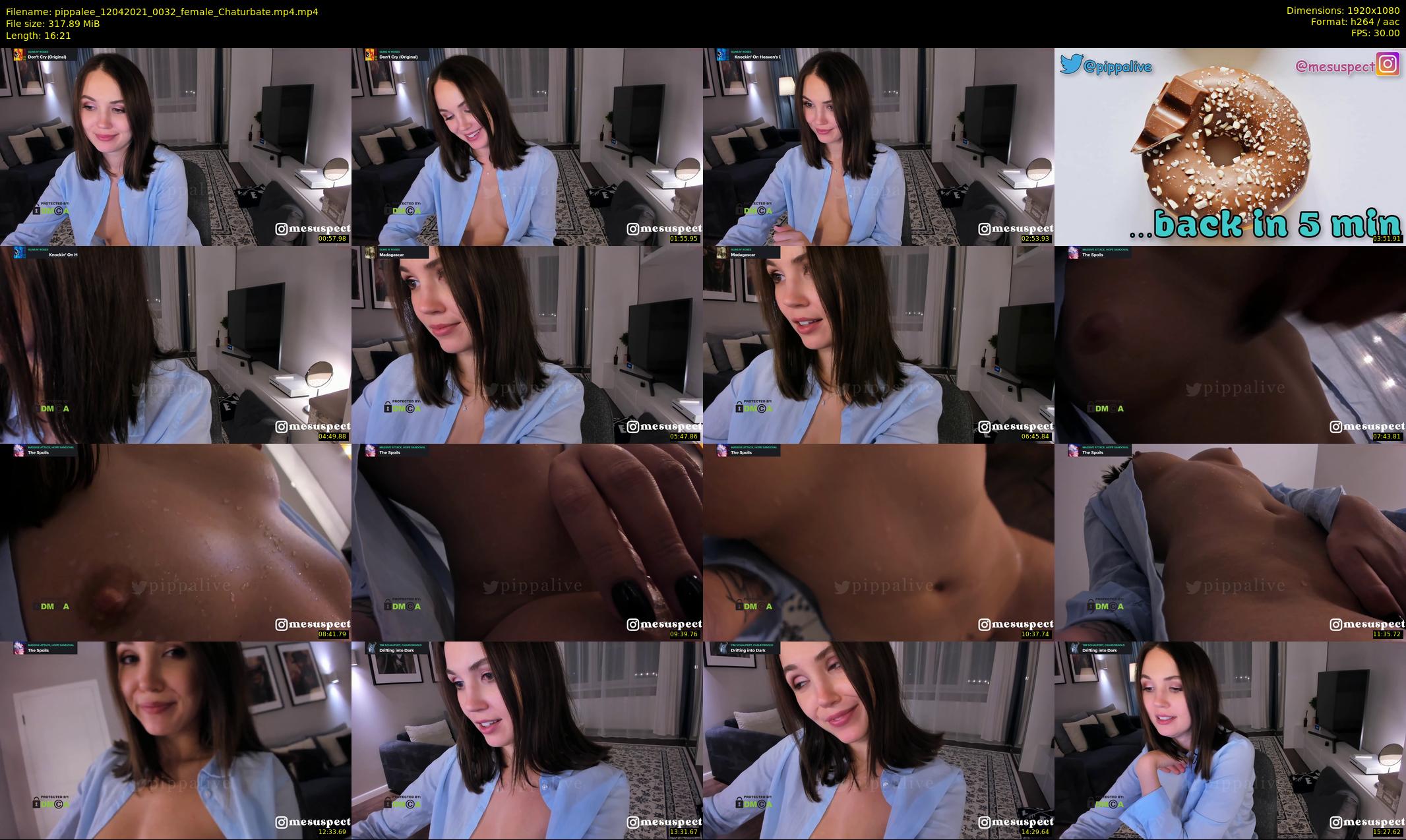 pippalee — 17 minute Chaturbate female cam show recording, 1080p, Apr 12, 2021