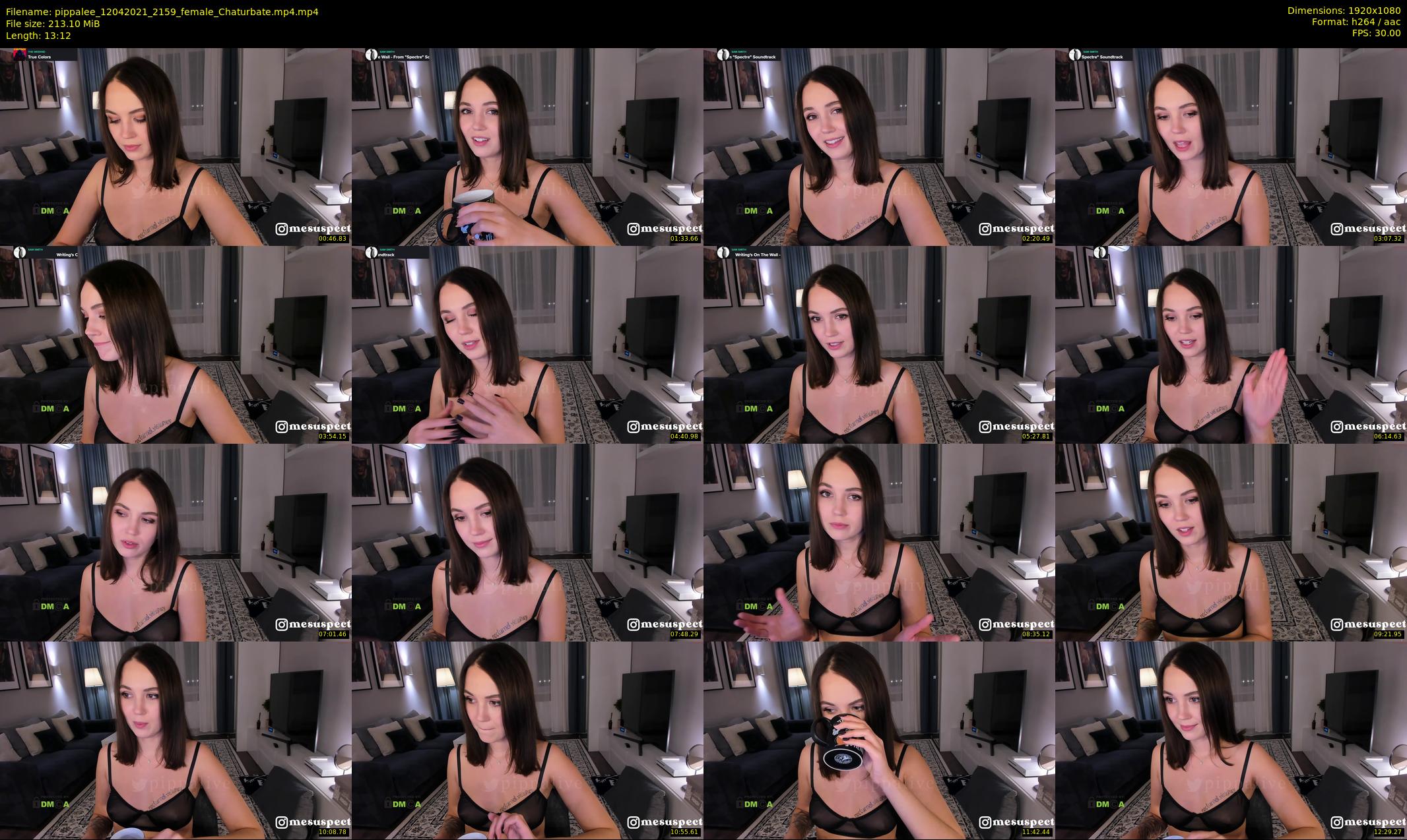 pippalee — 14 minute Chaturbate female cam show recording, 1080p, Apr 12, 2021