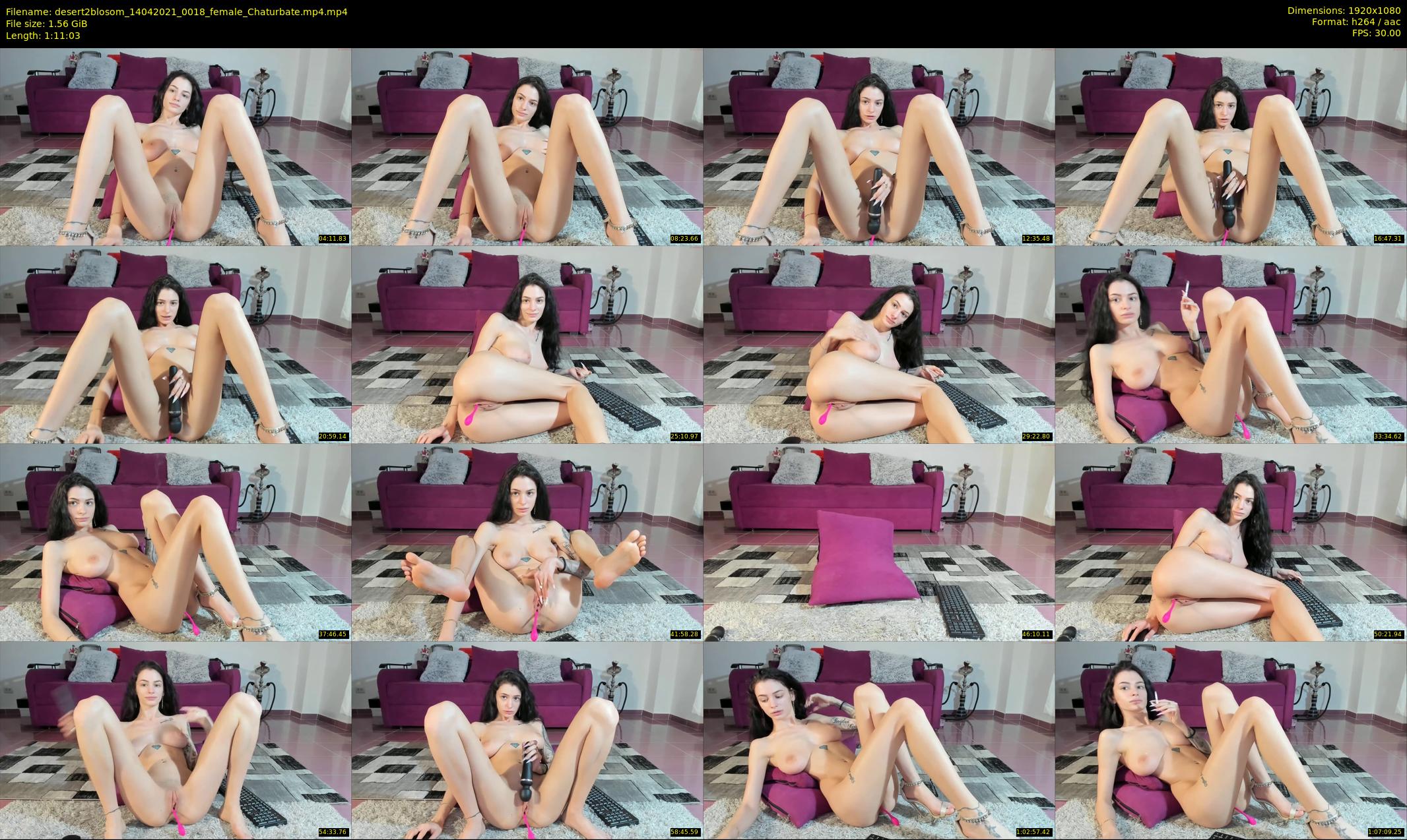 desert2blosom — 72 minute Chaturbate female cam show recording, 1080p, Apr 14, 2021